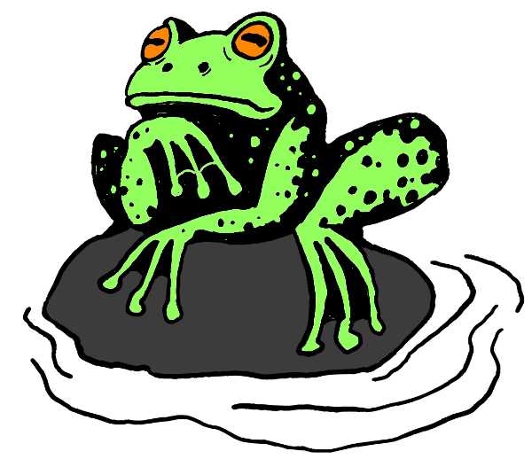 a frog